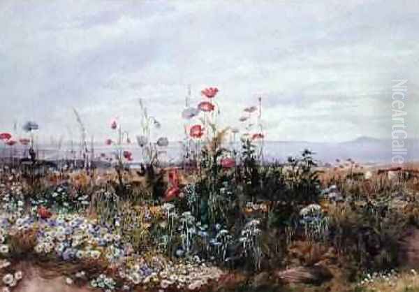 Wildflowers with a View of Dublin Dunleary - view 1