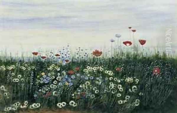 Poppies Daisies and other Flowers by the Sea - view 1