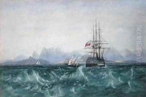The British Fleet Surrounded by Flying Fish off Ceylon by Andrew Nicholl