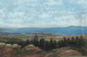 Dun Laoghaire harbour and Dublin Bay from Killiney Hill by Andrew Nicholl