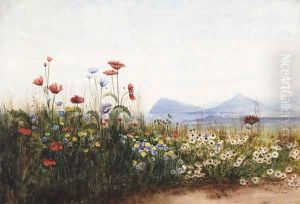 Poppies, cornflowers and daisies on Killiney Hill by Andrew Nicholl