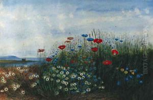 A coastal landscape with poppies, cornflowers, daisies and grasses in the foreground by Andrew Nicholl
