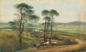 Near Letterkenny, Co. Donegal