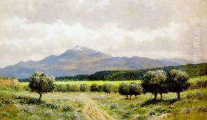 Mt. Shasta by James Craig Nicoll