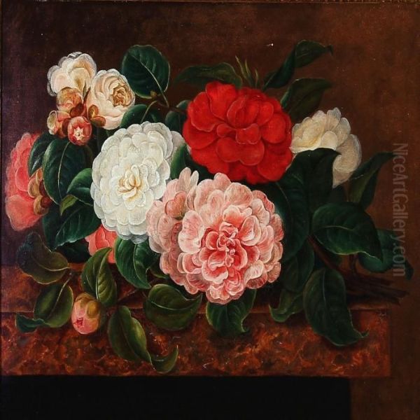 Still Life - view 1