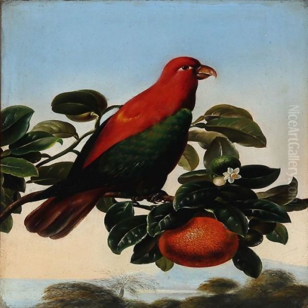 Red Amazon Parrot On An Orange Twig - view 1