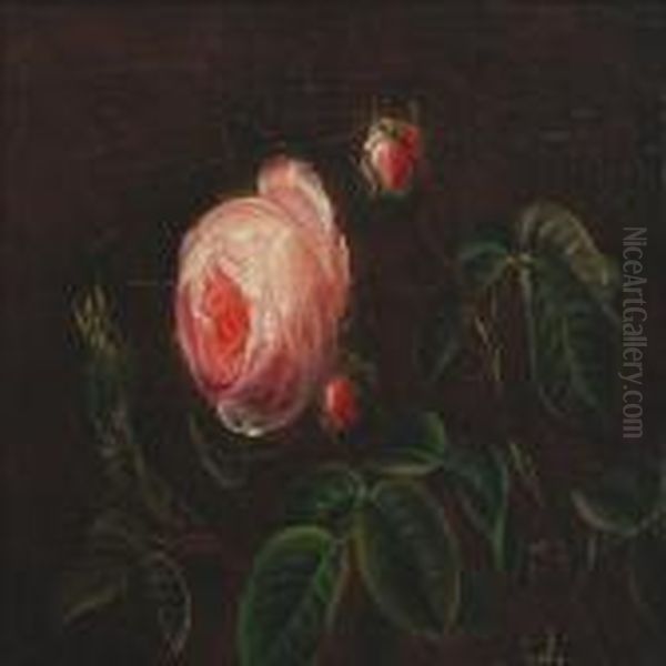 Still-life With Roses - view 1