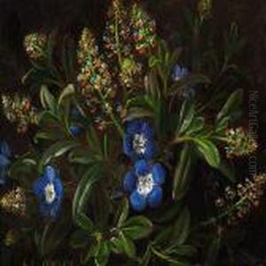 Flowers In The Forest Floor