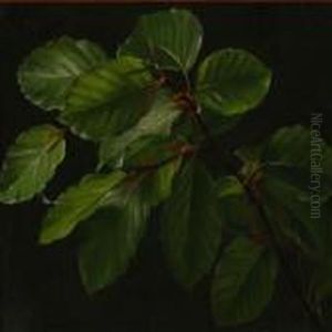 Newly Sprouted Beechleaves by I.L. Jensen