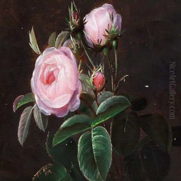 Pink Roses - view 1