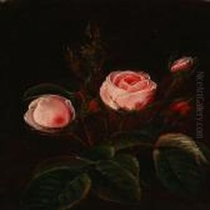 Newly Blooming Pinkroses by I.L. Jensen