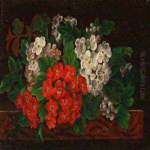 Red And White Hawthorns On A Sill