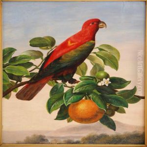 An Amazon Parrot On An Orange Twig