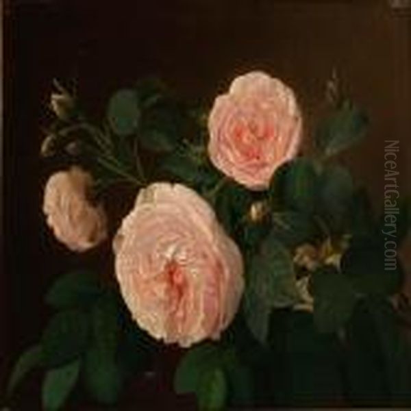 Pink Roses - view 1