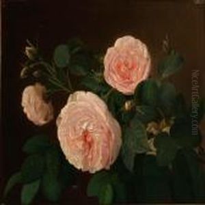 Pink Roses Pink Roses