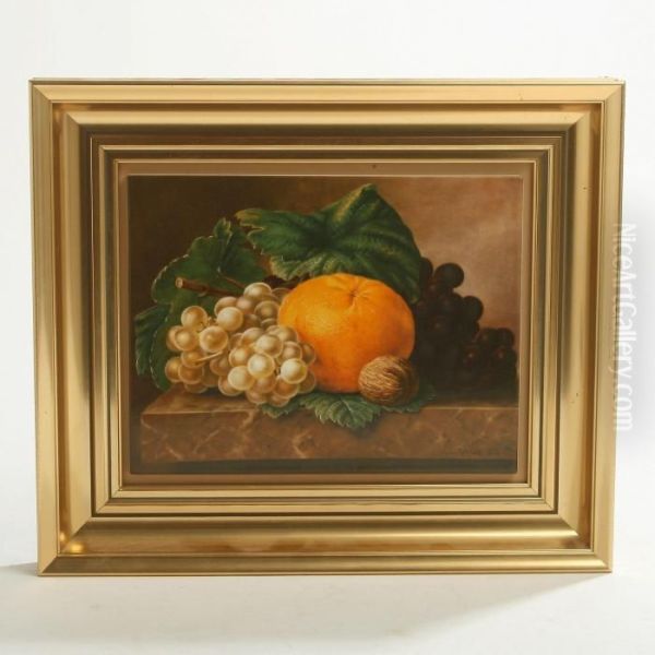 The Fruits" - view 1