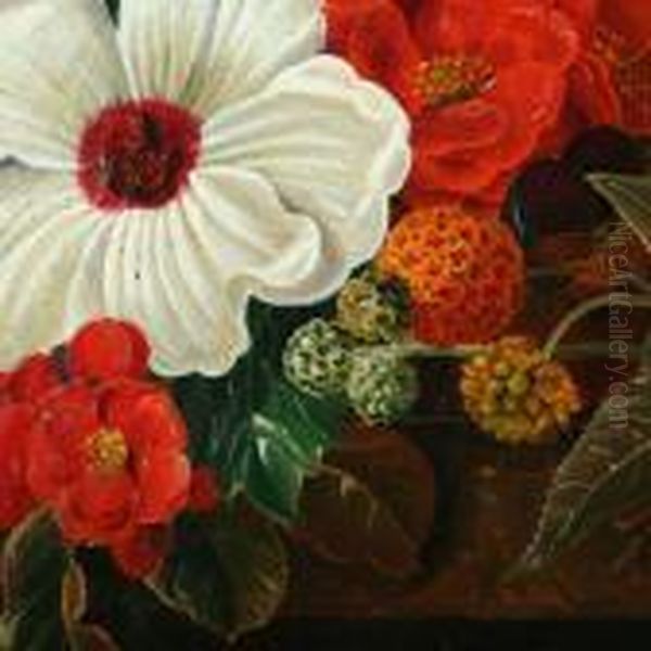 Still Life - view 1
