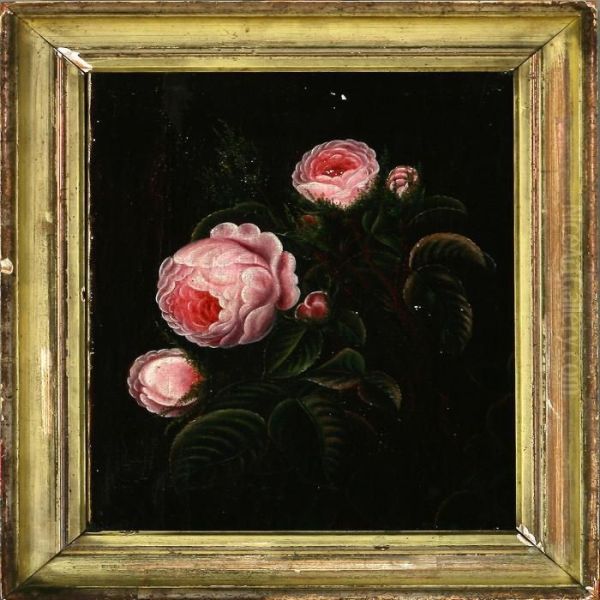 Pink Roses - view 1