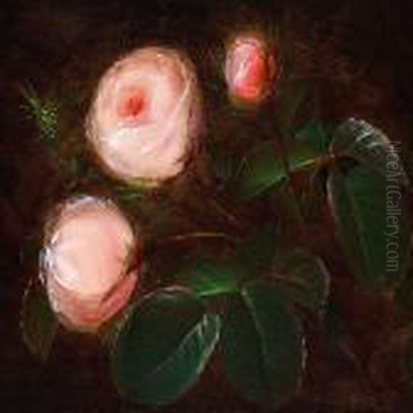 Pink Roses - view 1