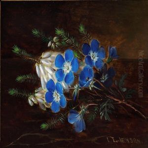 A Bunch Of Blue Poppy Anemones And White Heather by I.L. Jensen