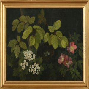 Bird's Nest Betweenflowers And Beech Leaves by I.L. Jensen