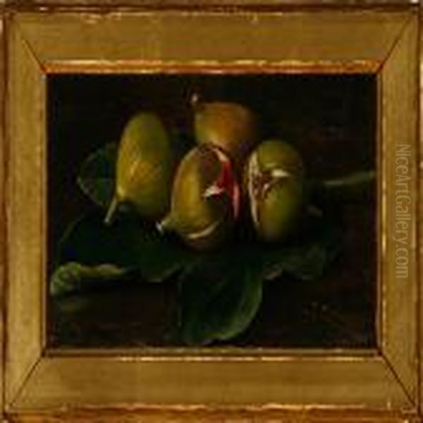 Ripe Figs On Leafs - view 1