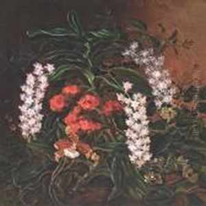 Exotic Flowers In Forest Floor