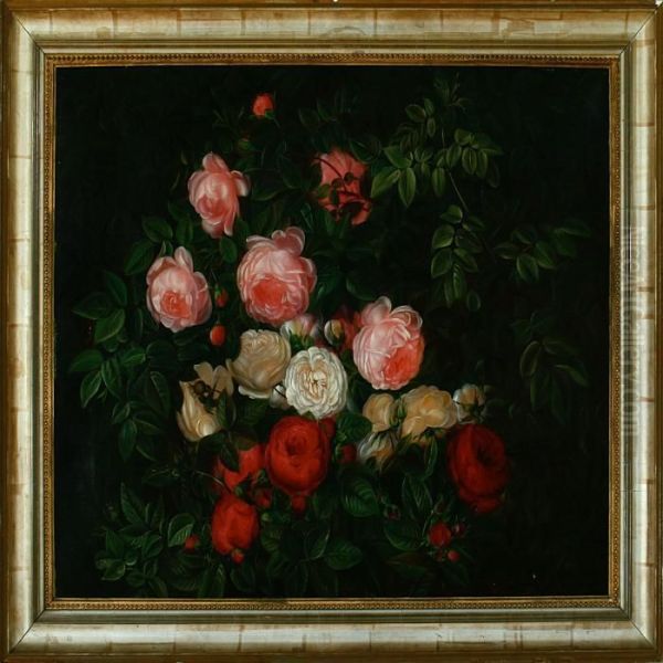 Red And White Roses - view 1
