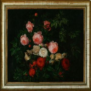 Red And White Roses