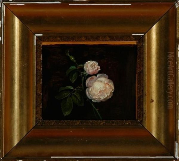 White Roses On A Window Still - view 1
