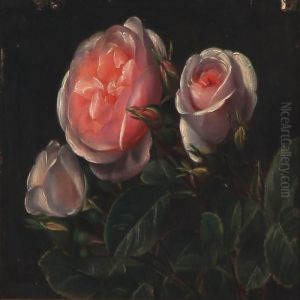 Pink Roses Pink Roses