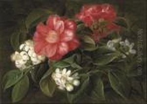 Stephanotus And Camelia by Johan Laurentz Jensen