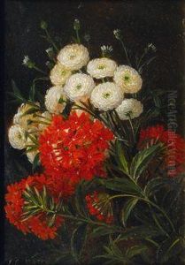 Weise Chrysanthemen Und Roter Phlox