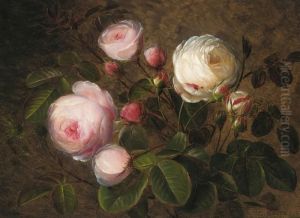 White And Pink Roses White And Pink Roses