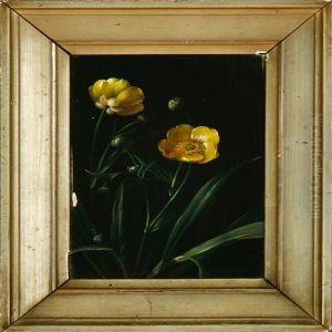 A Buttercup