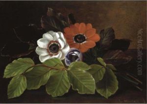 Still Life Of Anemones