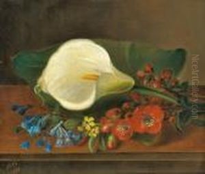 Calla Lillies And Primroses