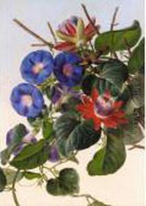 Passionflowers And Hummingbird by Johan Laurentz Jensen
