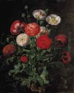 Poppies