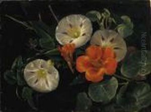 Bindweed And Nasturtium