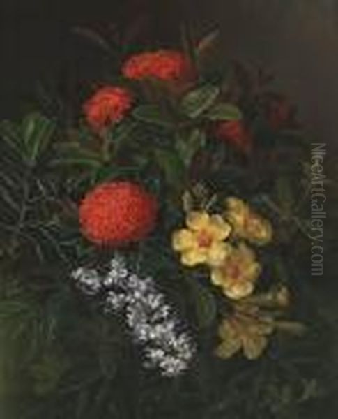 Allemanda, Ixora And Orchids - view 1