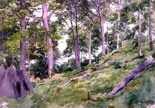 Clearing in the Woods near Ludlow - view 1
