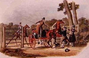 An Insubordinate Gate Keeper by Newhouse, Charles B.