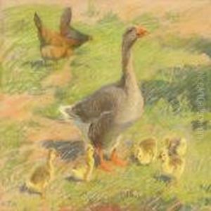 Free-range Chickens And Goose With Goslings