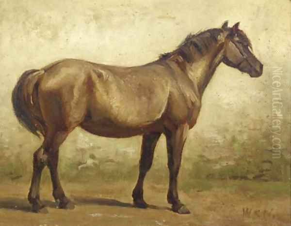 A brown horse - view 1