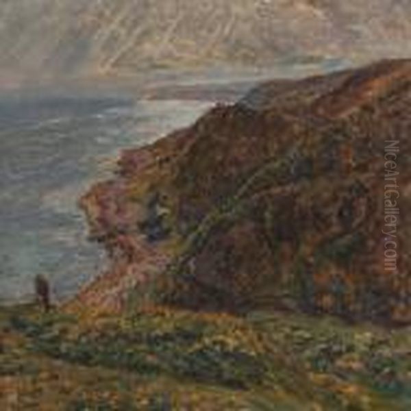 Coastal Scenery - view 1