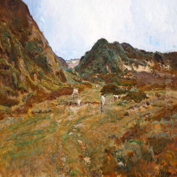 Bakker Ved Svinklov - view 1