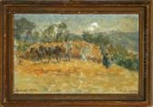 A Harvest Scenery From Anticoli In Italy