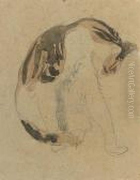 Study Of A Cat - view 1