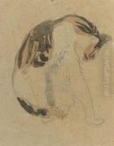 Study Of A Cat by Gwendolen John